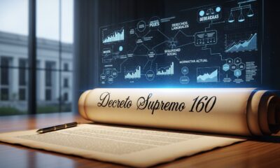Decreto Supremo 160
